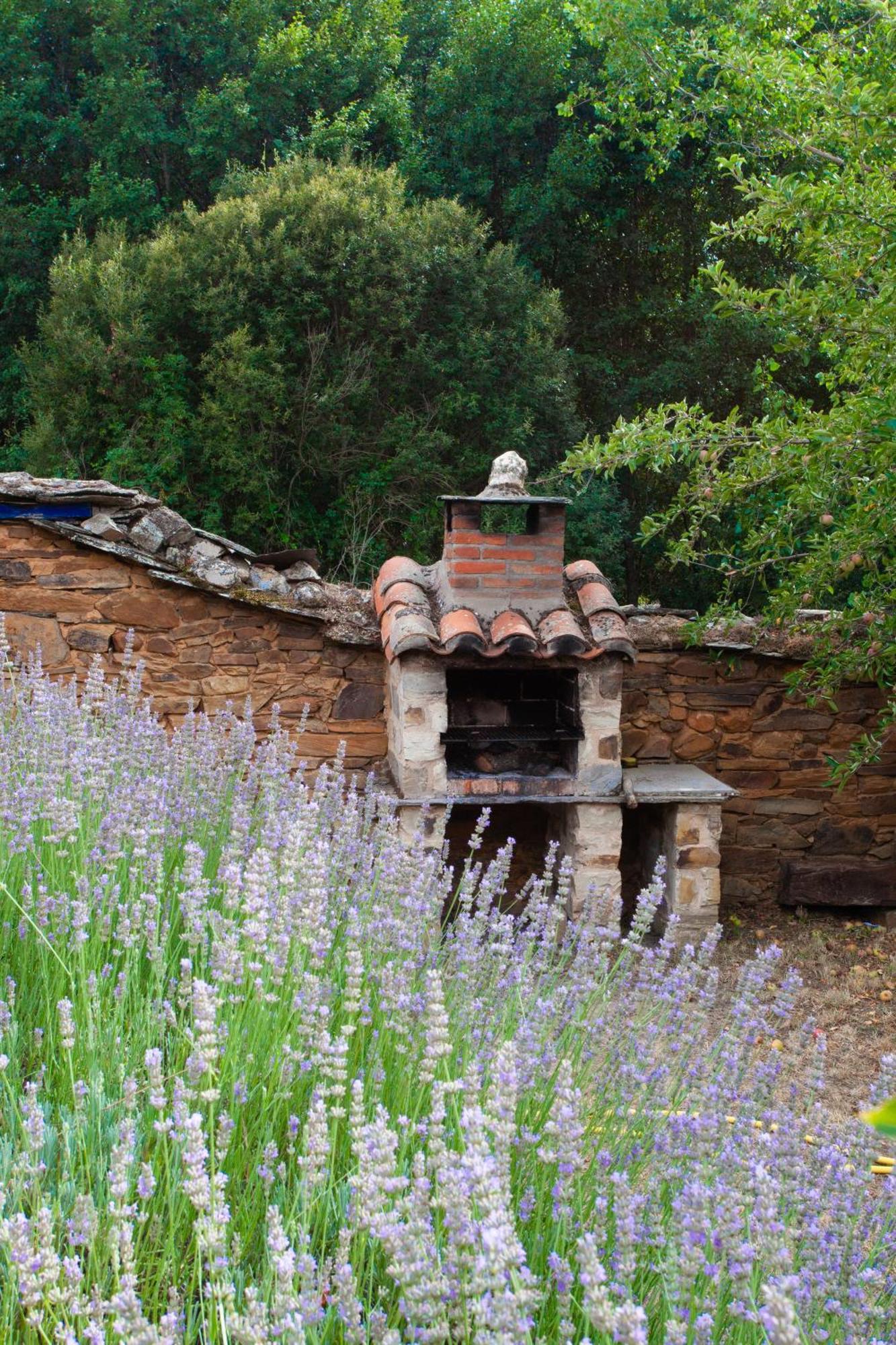 Casa Colomba Holiday home *